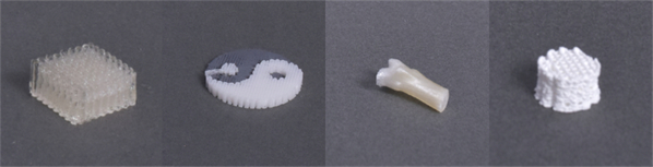 萊普E系列經濟版生物3D打印機上市，博見三維推動醫工科研創新